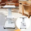 Beauty Instrument Beauty Salon Special Trolley Modern Simple Mobile Tool Cart Storage Rack 3 Tier Beauty Rolling Cart For Beauty