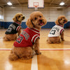 1pcs Mesh Breathable Dog Clothes Schnauzer Teddy Sport Large Dog Jersey Basketball Clothing Puppy T-Shirts Summer Pet Cat Shirts