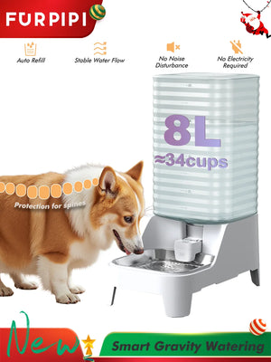 Furpipi 8L Large Capacity Automatic Pet Feeder & Water Dispenser Gravity Pet Feeding StationStainless Steel Pet Waterer for Pets
