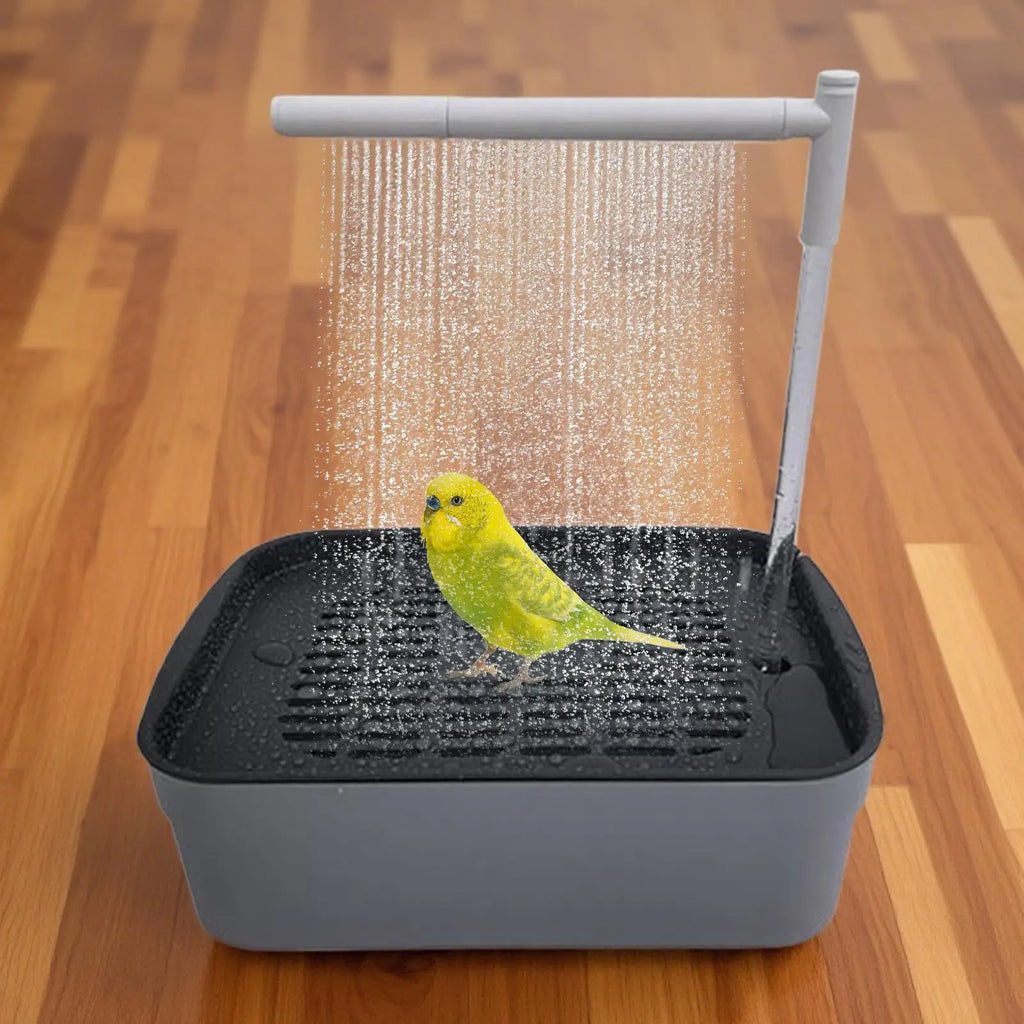 Automatic Pet Birds Parrots Bath Circulating Water Bathtub USB Electric Parakeet Bathtub Shower Fountain birds supplies