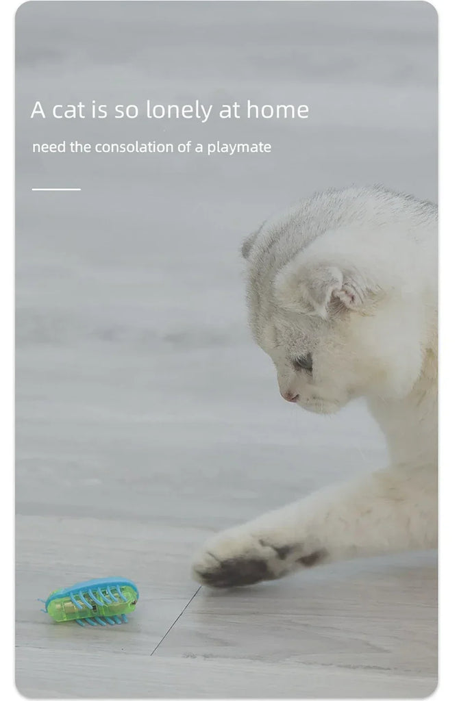 1PC Interesting Electric Bug Cat Toy Automatic Flip Battery Operated Pet Dog Beetle Playing Interactive Toy Pet Supplies