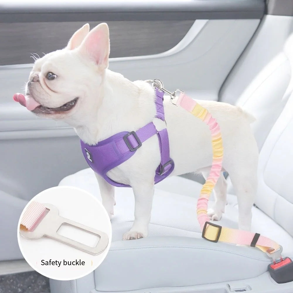 Car Safety Buckle Rope.The Gradient Colored Traction Rope Can Be Adjusted in Length.Suitable for Various Car Models and Pet Dogs