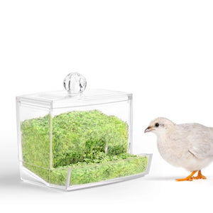 Automatic Quail Feeder Foraging Feeder for Birds Parrot Cage Bird Feeding System Cage Accessories for Parakeet Quail Pet Chicken