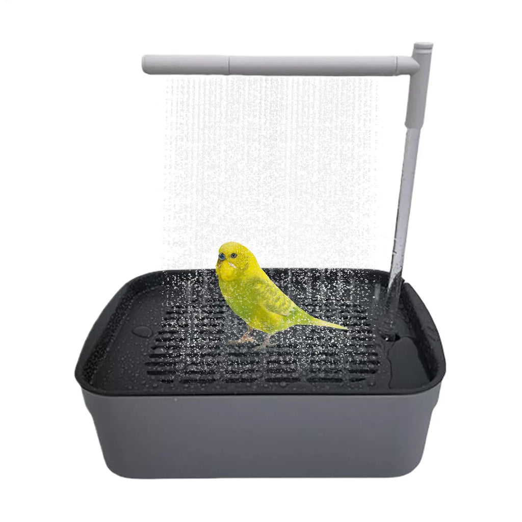 Automatic Pet Birds Parrots Bath Circulating Water Bathtub USB Electric Parakeet Bathtub Shower Fountain birds supplies
