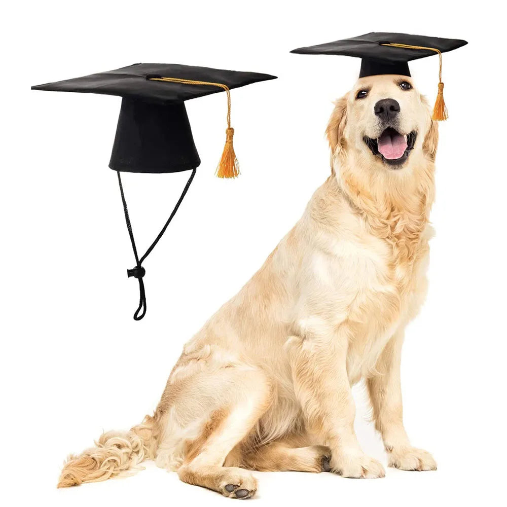 Pet Caps Dog Graduation Hats with Yellow Tassel Costumes for Dogs Cats Doctor Hat Holiday Party Apparel Dog Accessories Outfits