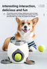 2 in 1 Dog Pet Interactive Toy Tennis Ball Launcher Automatic Throwing Training Reward Machine Fun Feeding Machine Pet Supplies